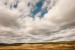 SEF_2872