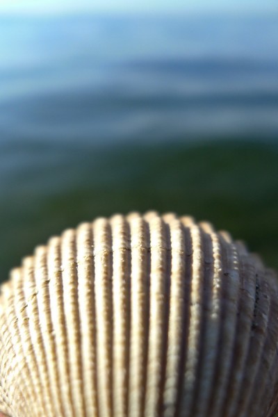P1040242