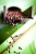 SEF_1054